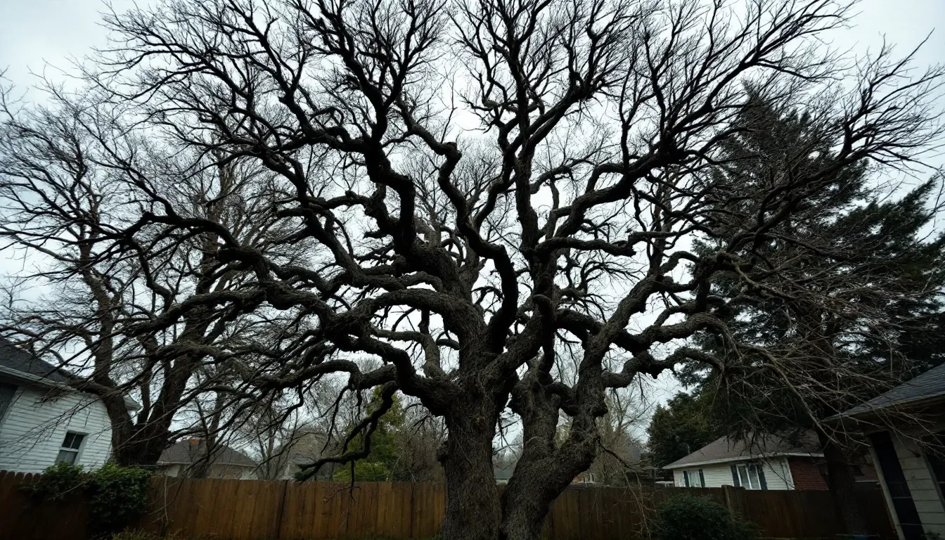 Dead Branch Removal in Greenville